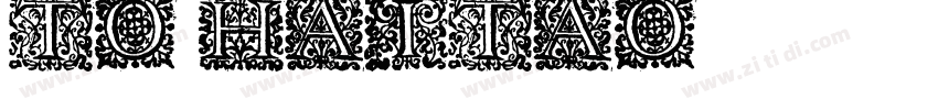 To Haitao字体转换